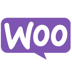 Formation WooCommerce Lyon